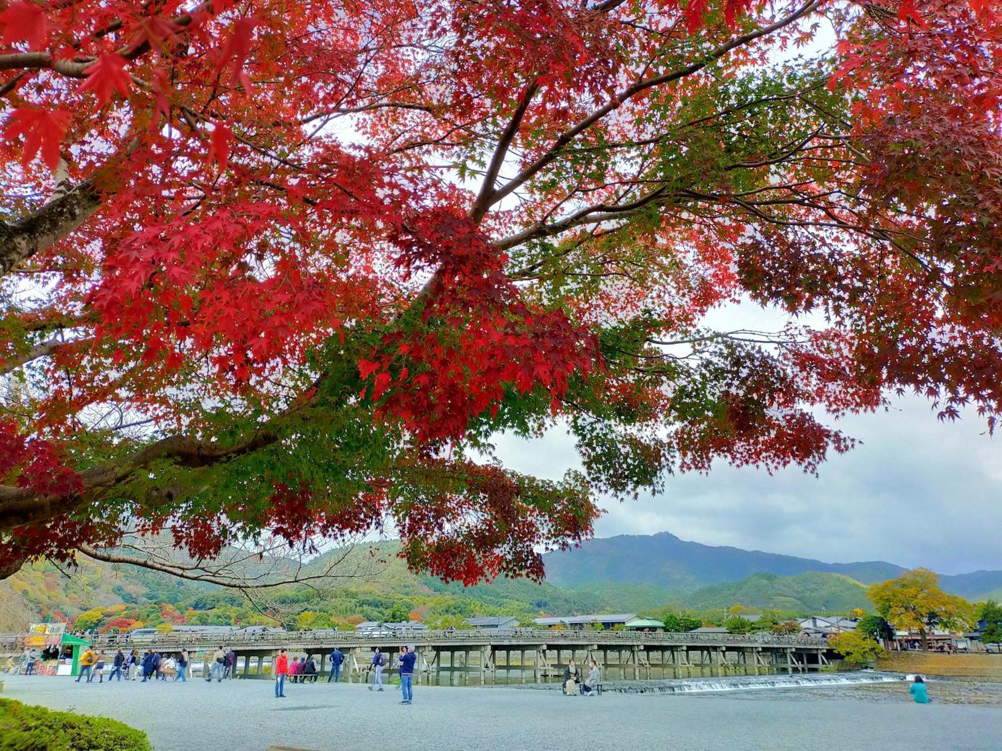 岚山温泉 花传抄-共立度假区 京都